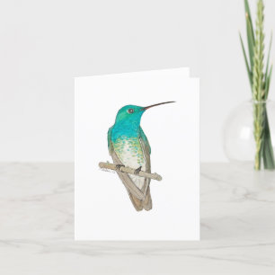 White-chested Emerald Hummingbird Thank You Card
