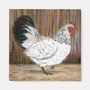 White Chicken Magnet