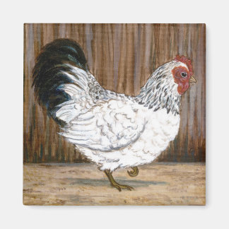 White Chicken Magnet