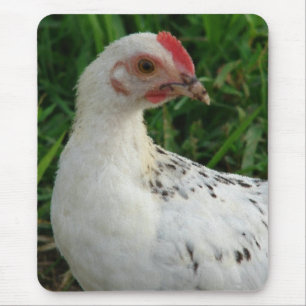 White Chicken Mouse Mat
