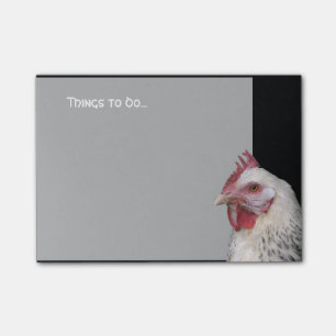 White chicken post-it notes
