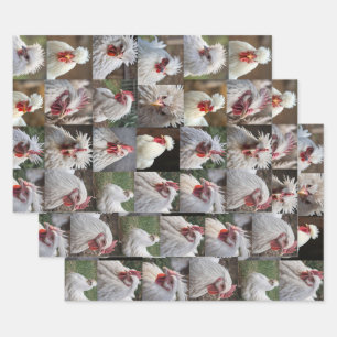 White Chickens Photo Collage, Wrapping Paper Sheet