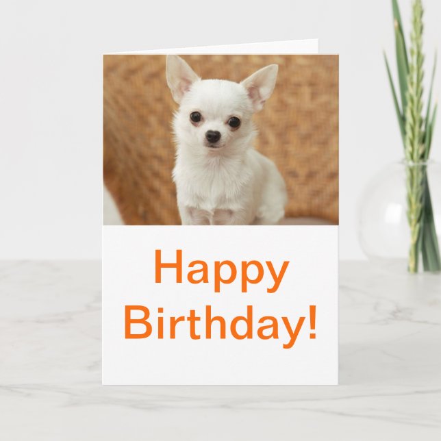 White Chihuahua Card (Front)