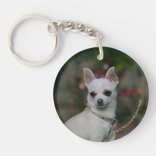 White Chihuahua Key Ring