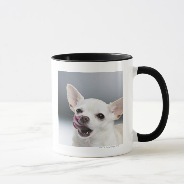 White Chihuahua licking lips Mug (Right)