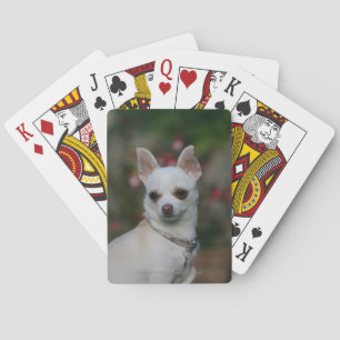 White Chihuahua Playing Cards