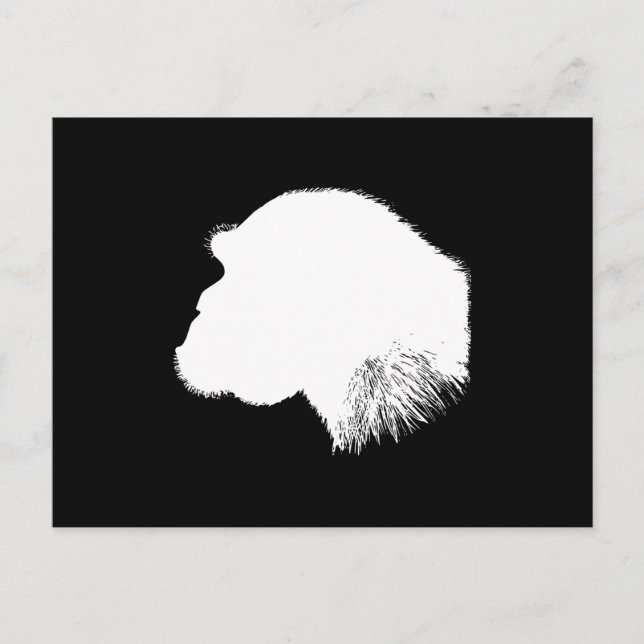 White Chimpanzee Profile Postcard (Front)