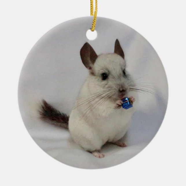 White chinchilla standing holding present ceramic tree decoration (Front)