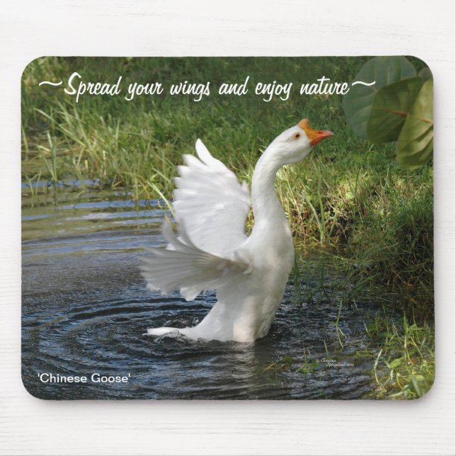 White Chinese Goose flapping wings Mousepad (Front)