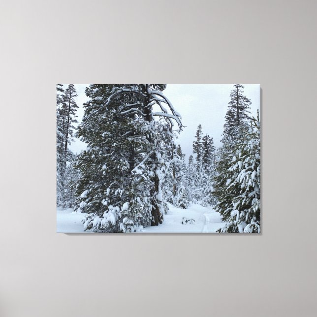 White Christmas Canvas Print (Front)