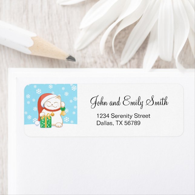 White Christmas Cat in a Red Hat (Insitu)