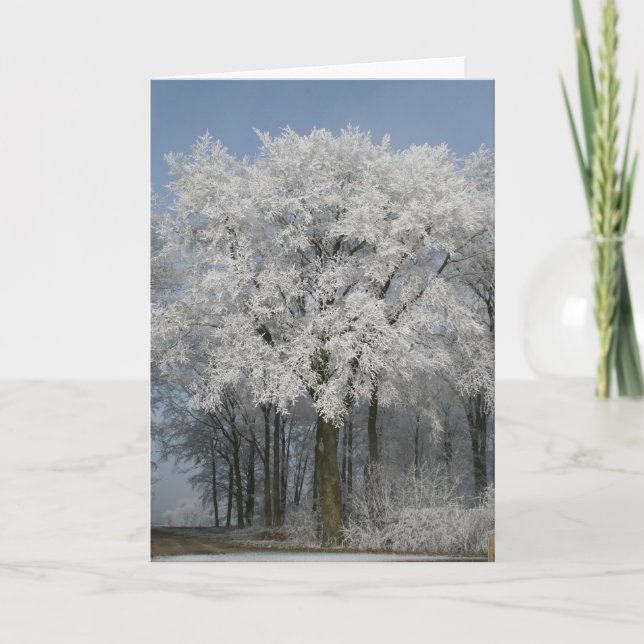 White Christmas Holiday Card (Front)