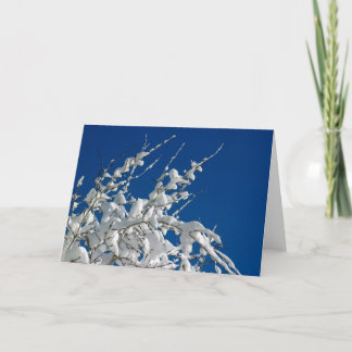 White Christmas II Holiday Card