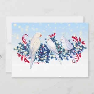White Christmas Parrots Holiday Card