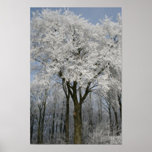 White Christmas Poster