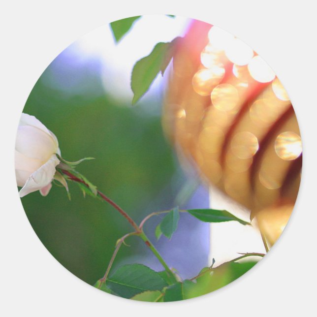 White Christmas Rose Classic Round Sticker (Front)