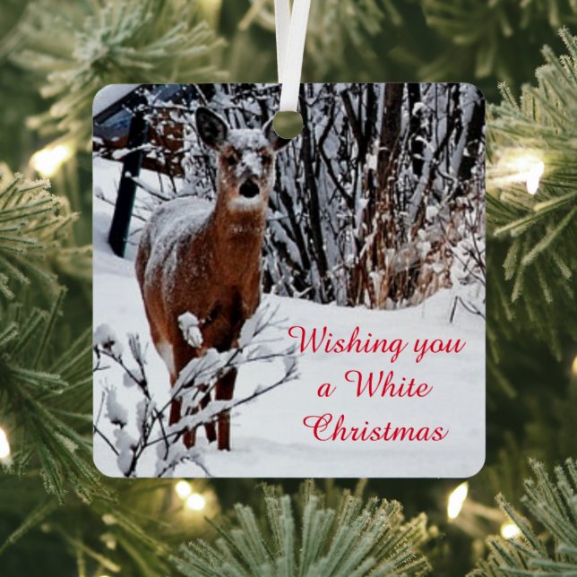 White Christmas Whitetail Deer Ornament (Insitu)
