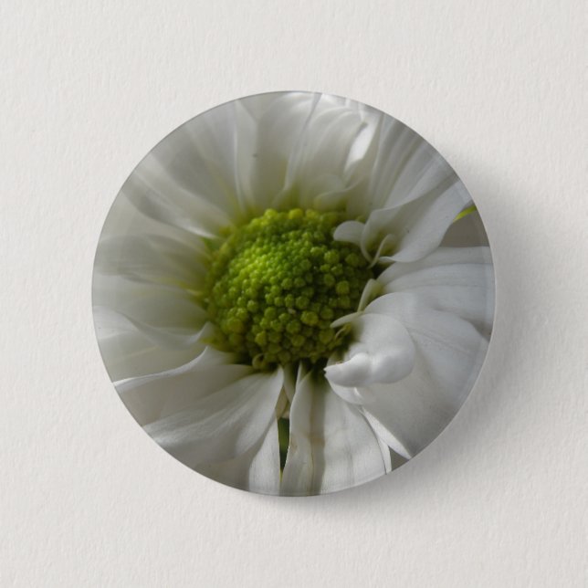 White Chrysanthemum Button (Front)