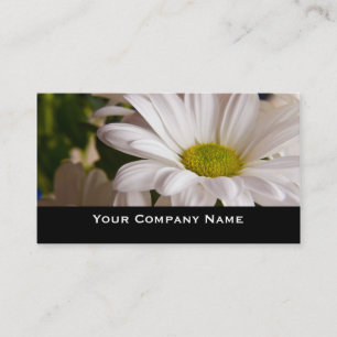 White Chrysanthemum flower Custom Business Cards