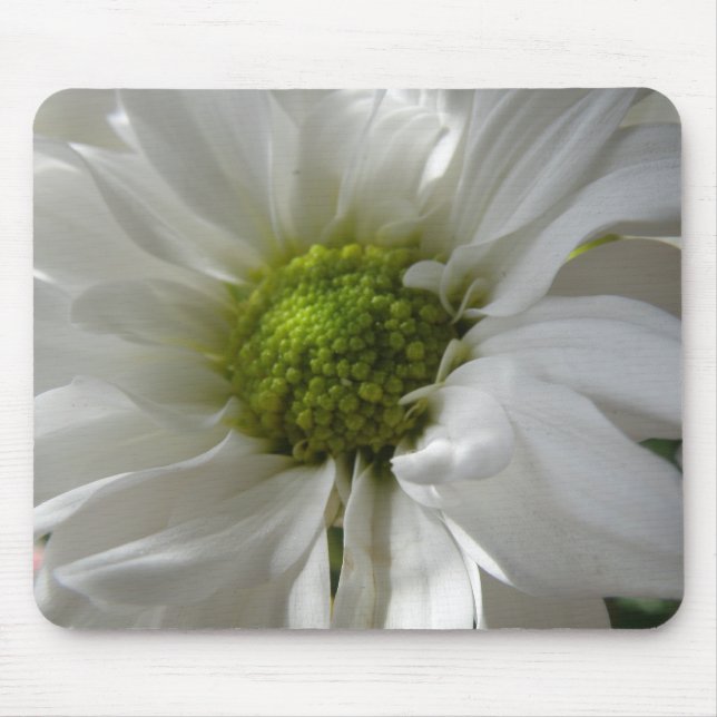 White Chrysanthemum Mousepad (Front)