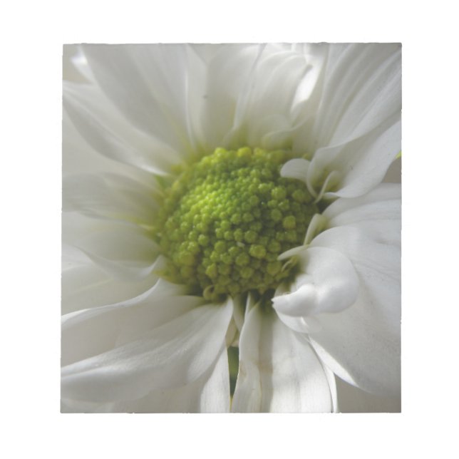 White Chrysanthemum Notepad (Front)