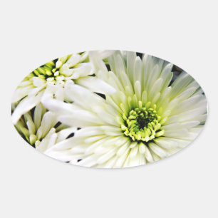 White Chrysanthemum oval stickers