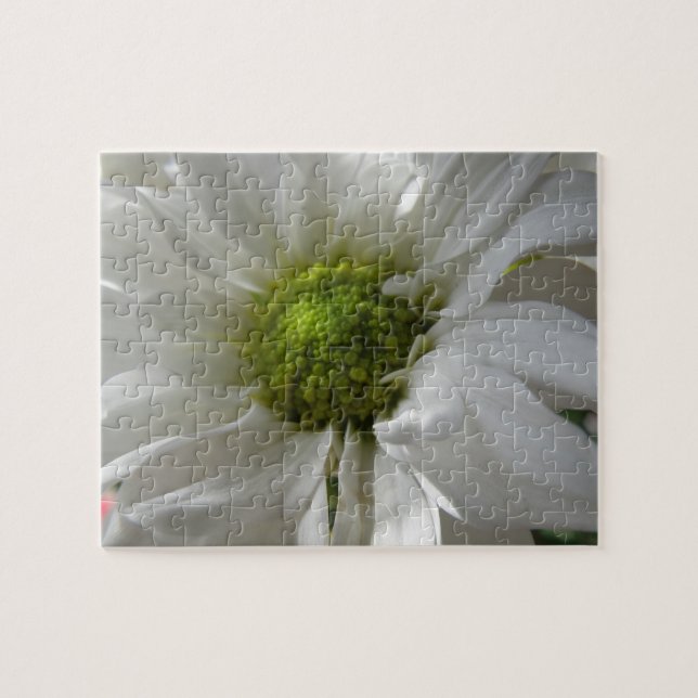 White Chrysanthemum Puzzle (Horizontal)