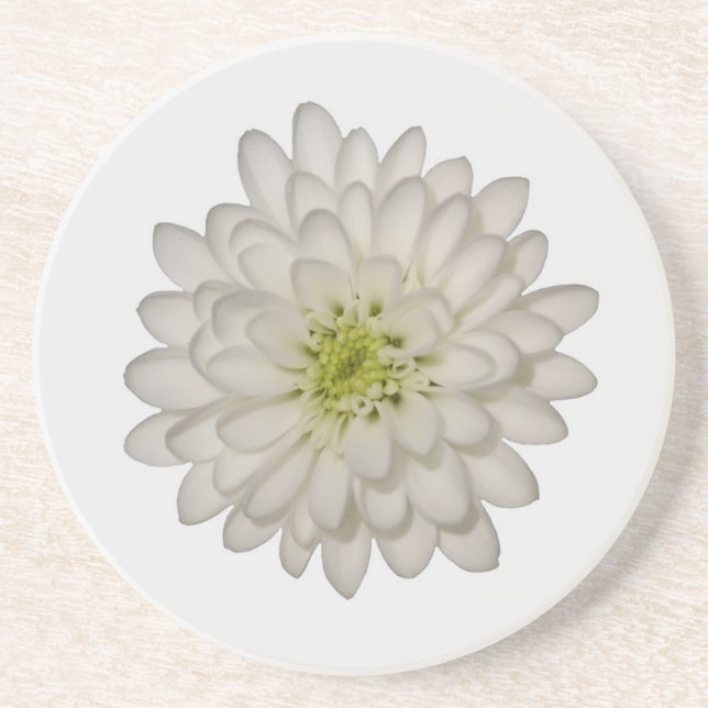 White Chrysanthemum Sandstone Coaster (Front)