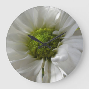 White Chrysanthemum Wall Clock
