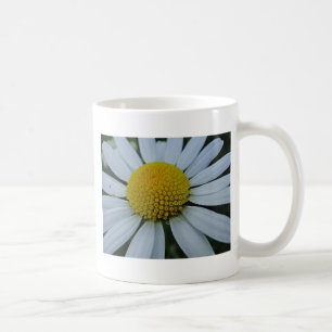 White chrysanthemum with yellow centre coffee mug