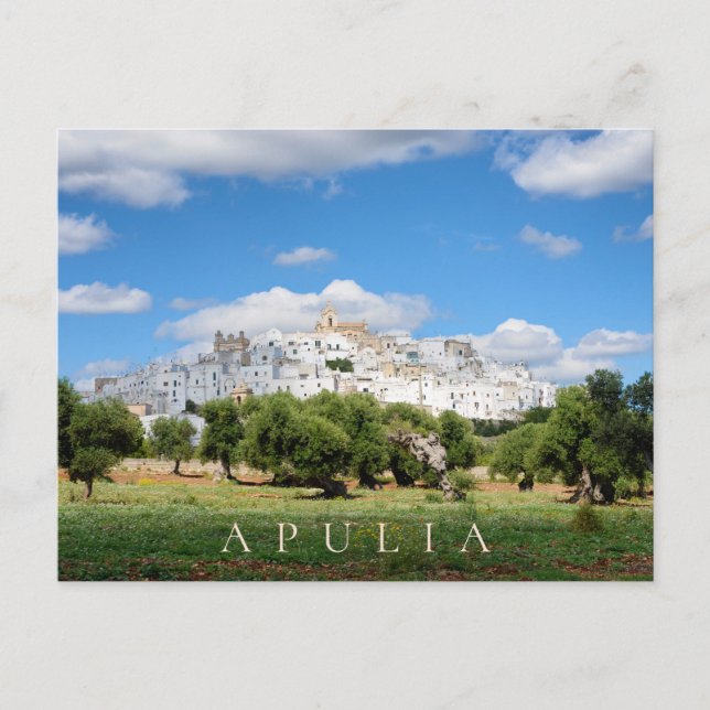 White city Ostuni and olive trees in Apulia Postcard (Front)