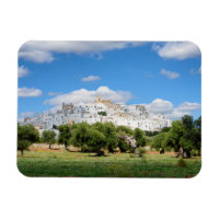 White city Ostuni, Puglia rectangular magnet