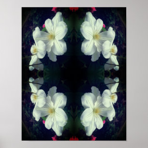 White Clematis Flower Pair Abstract  Poster