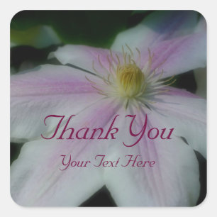 White Clematis Flower Thank You Square Sticker