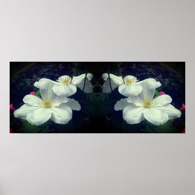 White Clematis Flowers Mirror Abstract Poster (Front)