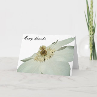 white clemetis thank you card