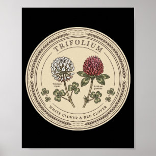 White Clover and Red Clover - Vintage Trifolium Bo Poster