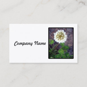 White Clover Blossom Business Card