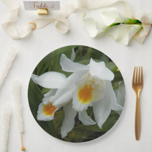 White Coelogyne Mooreana Orchids Floral Paper Plate