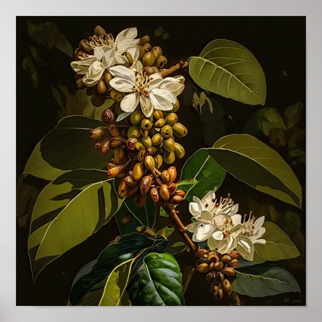 White Coffee Flowers Art Print Poster (Front)