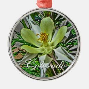 White Colorado columbine flower ornament