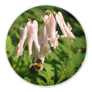 White Columbine Flower And Bumble Bee  Ceramic Knob
