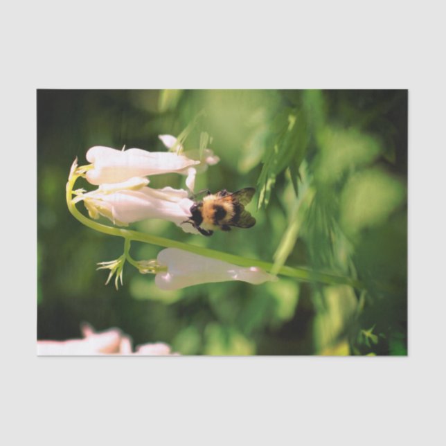 White Columbine Flower And Bumble Bee Decoupage Tissue Paper (Front)