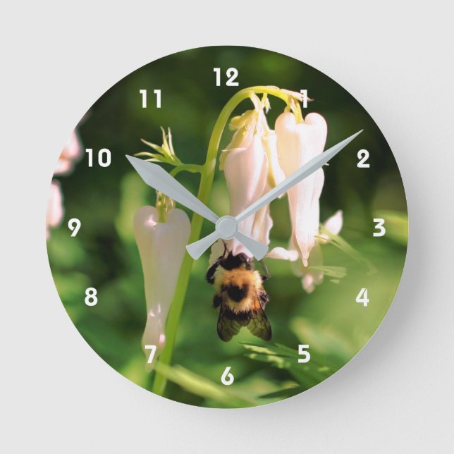 White Columbine Flower And Bumble Bee  Round Clock (Front)
