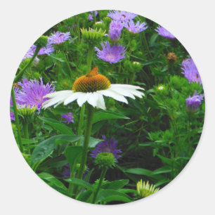 White Cone flower, purple flowers and moth Classic Round Sticker