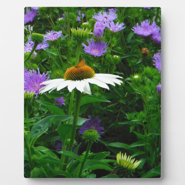White Cone flower, purple flowers and moth Plaque (Front)