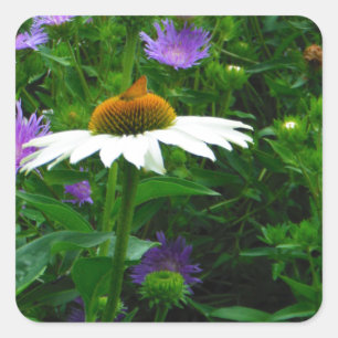 White Cone flower, purple flowers and moth Square Sticker