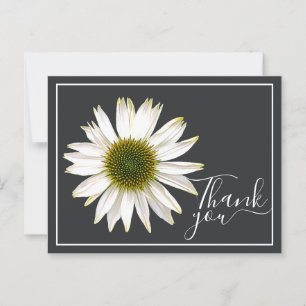 White Coneflower Charcoal Grey Backdrop Thank You Postcard