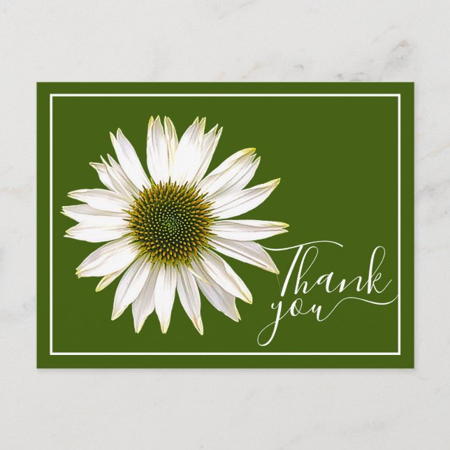 White Coneflower Green Background Thank You Postcard (Front)