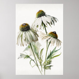 White Coneflowers Art Print Poster